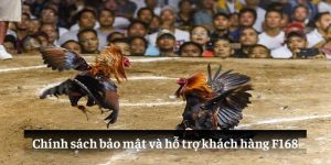 Chính sách bảo mật và hỗ trợ khách hàng F168