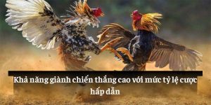 Khả năng giành chiến thắng cao với mức tỷ lệ cược hấp dẫn