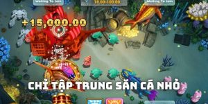 Mẹo chơi bắn cá dành phần thắng tập trung vào những sinh vật nhỏ