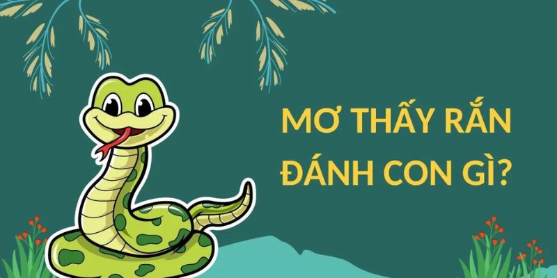 Mơ thấy con rắn đánh con gì chắc thắng