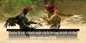 Quản lý tài chính một cách thông minh và đạt hiệu quả cao F168